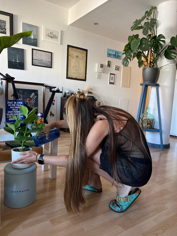 Woman waters indoor plant in Spanish home Monday morning