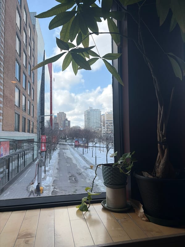 Montreal daily life scenes captured across cafes and workspaces