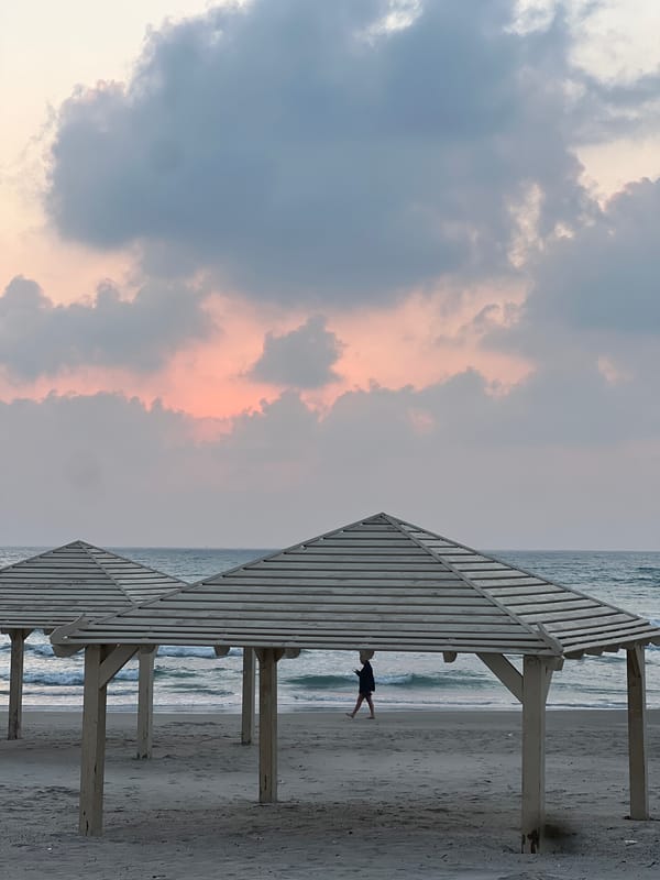 Sunset filmed behind palm trees in Kiryat Yam, Israel