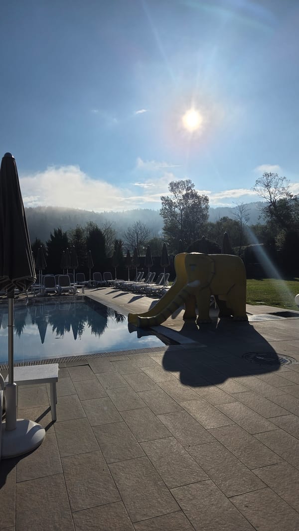 Resort pool area with yellow elephant slide documented