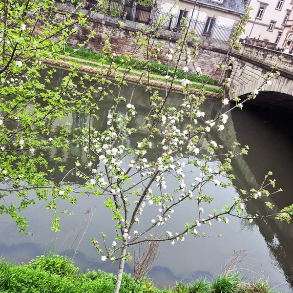 Spring scenes and political messages captured along Strasbourg canals