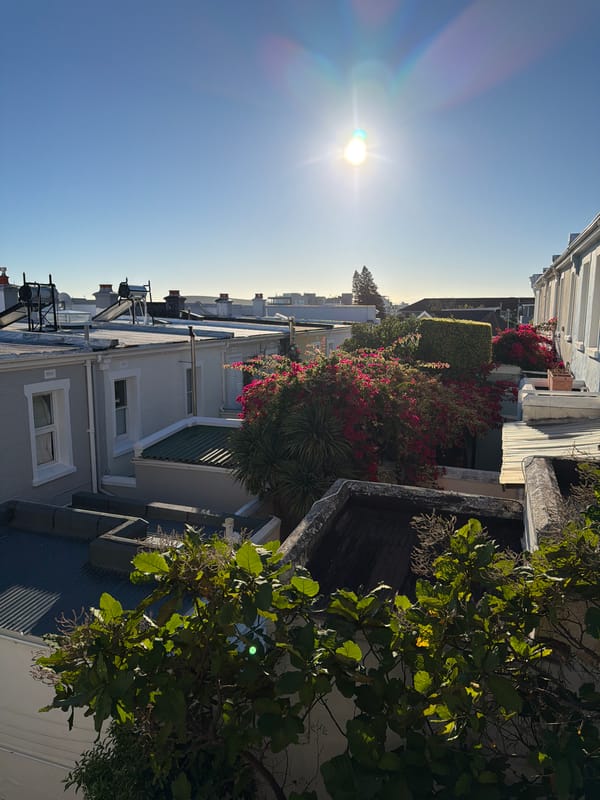 Morning residential views captured in Cape Town neighborhood
