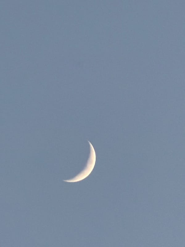 Sofia evening sky: contrails, crescent moon, and a park at dusk