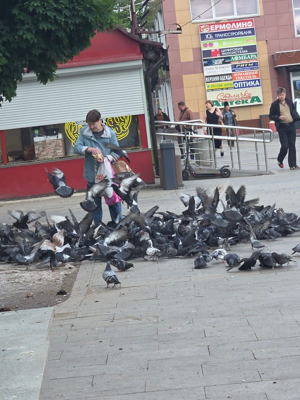 Pigeons and pedestrians share a Moscow plaza on a June morning