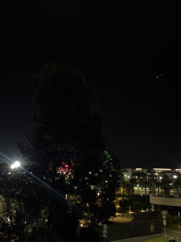 Evening domestic life documented in Sirius, Russia