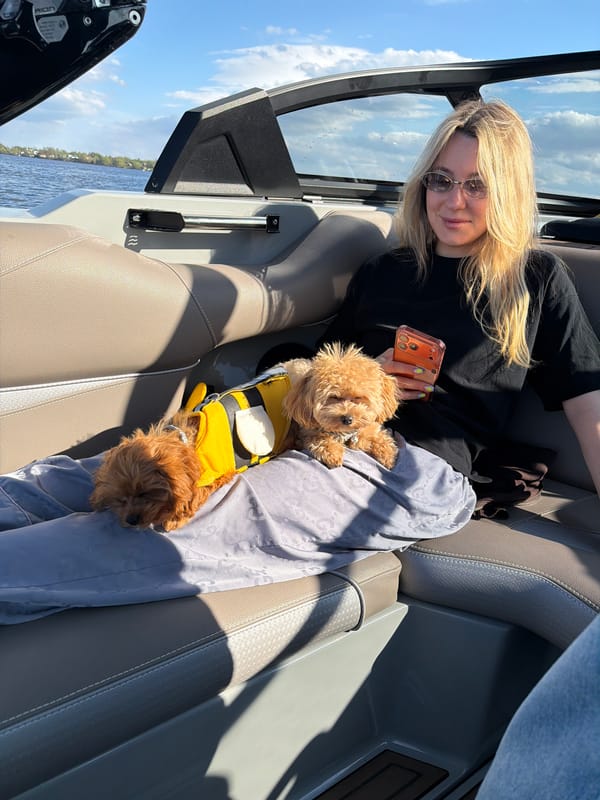 Woman enjoys boat outing with costumed dogs in Russia