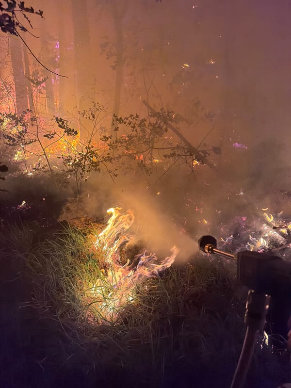 Forest fire burns through hillside woodland near Gluhi Do, Montenegro