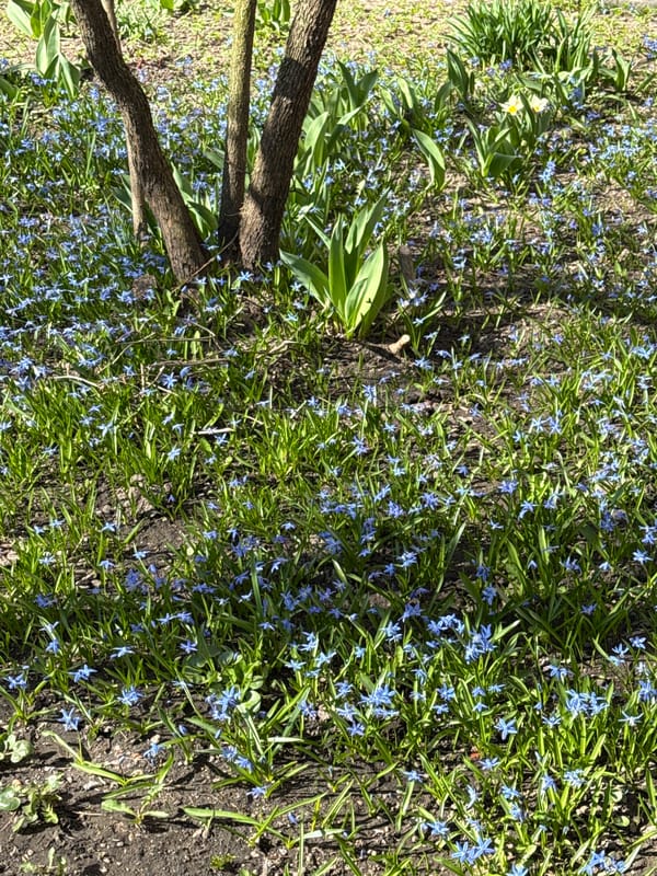 Spring day moments captured in Reutov, Russia