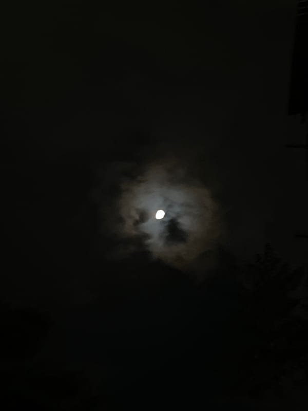 Moon observed through clouds in night sky scene