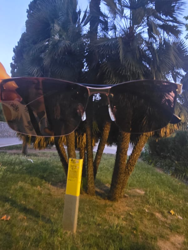 Oversized sunglasses photographed in Spanish park setting