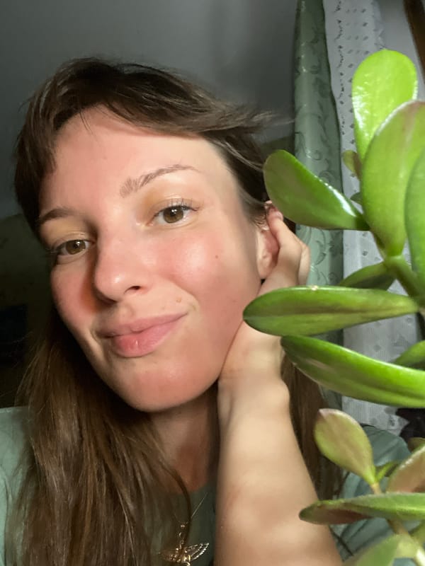 Close-up moments with a jade plant in Gubakha, Russia