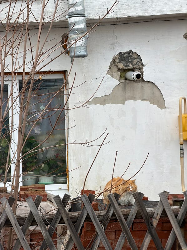 Daily life scenes documented in Chaikovsky, Russia