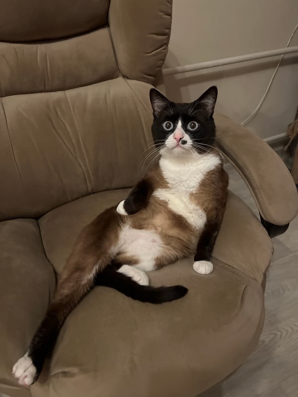 Domestic life moments captured in Noviy, Russia home