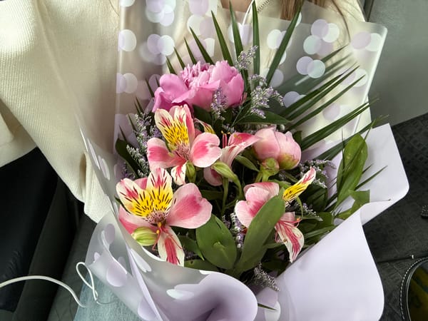 Flower bouquet spotted on blanket in car, Kragujevac