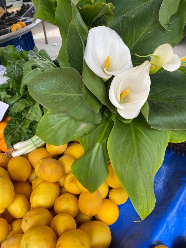 Daily life documented across Alanya markets and streets