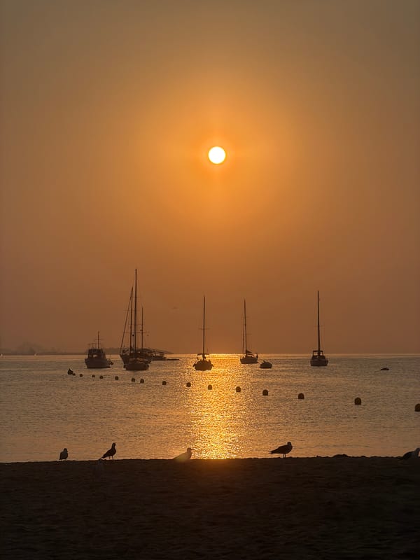 Golden hour along the Calvià coast, sailboats and seagulls
