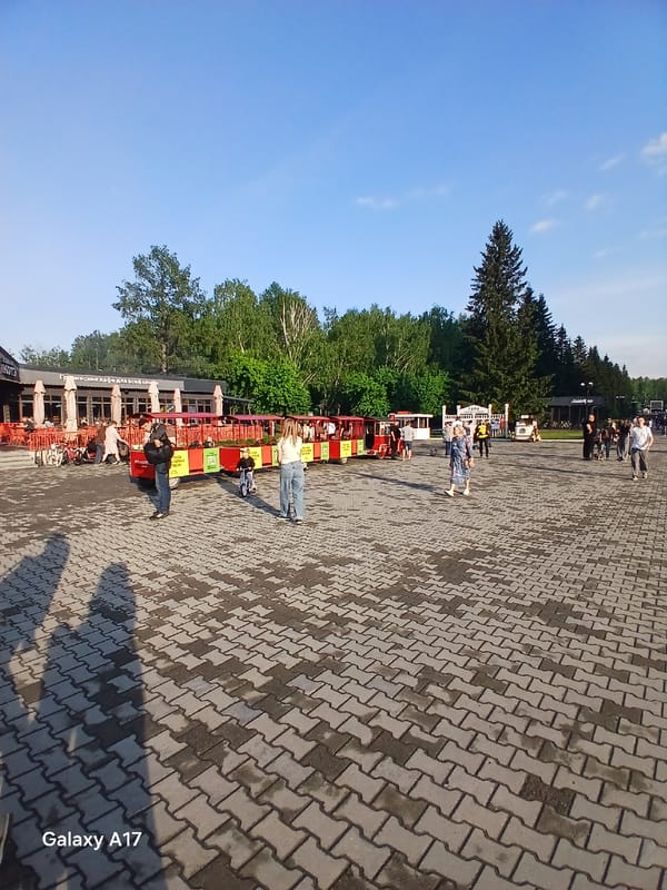 XV Barbecue Festival draws crowds in Yekaterinburg with live music