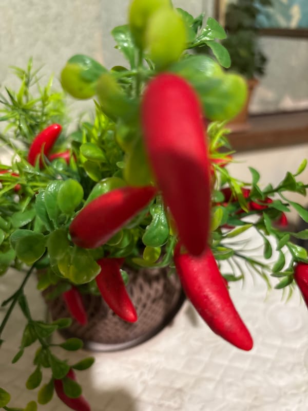 Evening documentation of decorative items and scenes in Vagharshapat