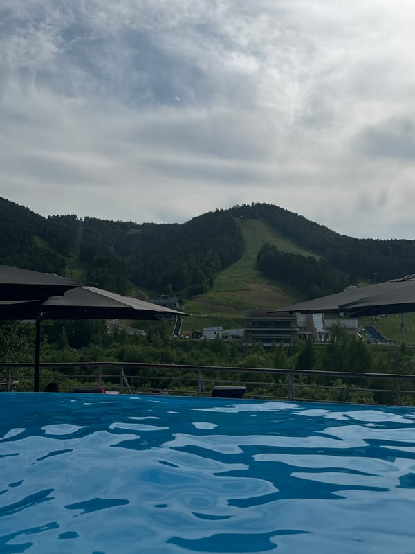 Outdoor pool and greenery on a cloudy Krasnoyarsk summer day