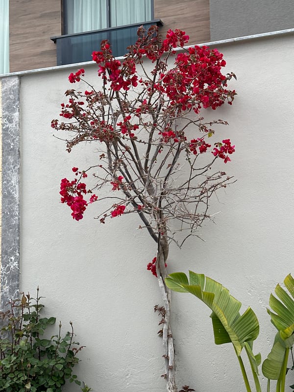 Morning snapshots of daily life in Fethiye, Turkey