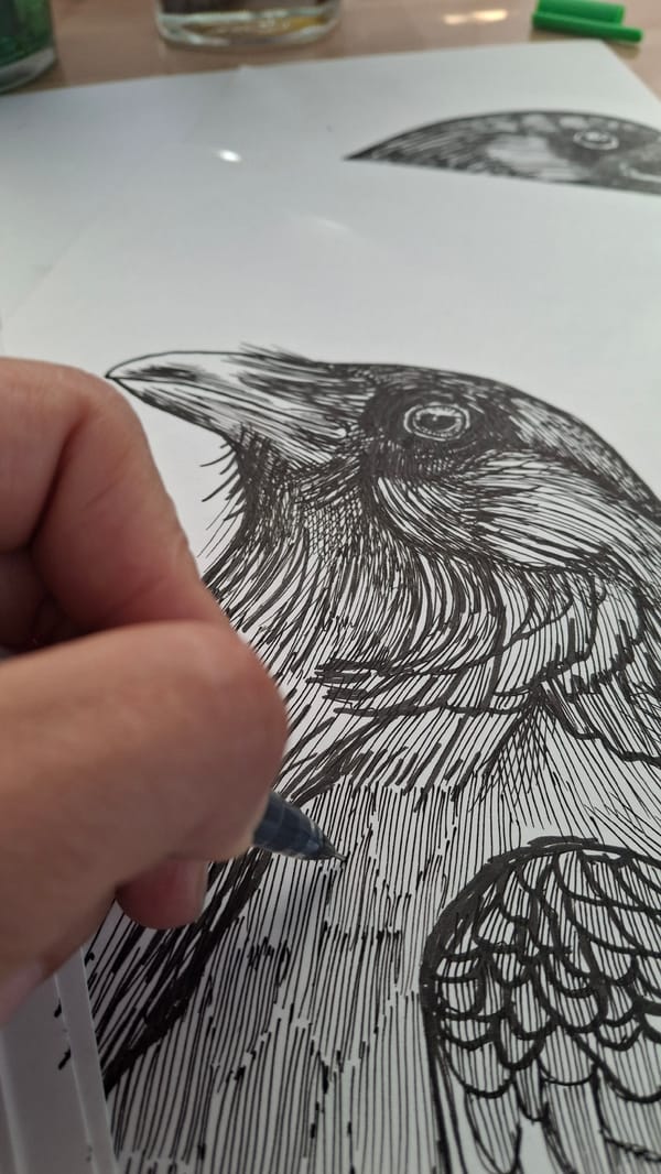 Artist creates detailed raven drawings in Kempelevo, Russia