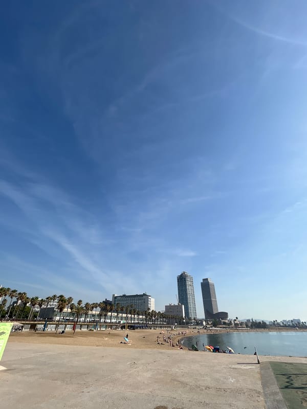 A quiet summer morning along Barcelona's Mediterranean waterfront
