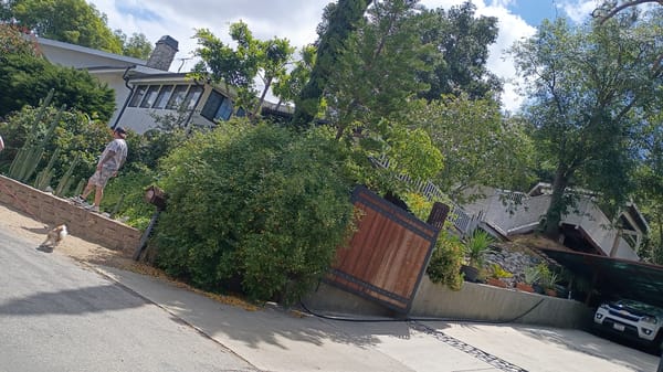 Sunny residential scenes documented in Los Angeles evening