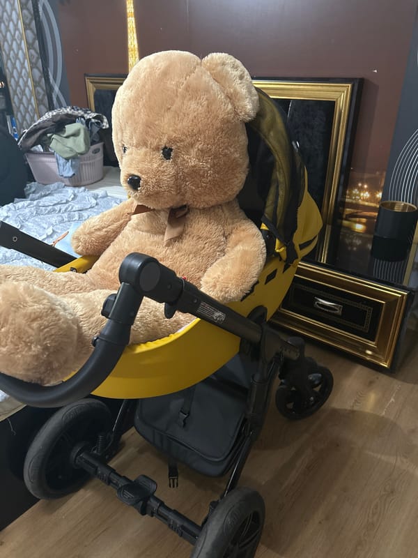 Busy domestic day at a Slanchevo home, June 2026