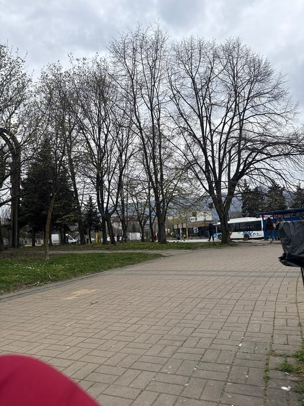 Daily urban life documented across Sofia locations