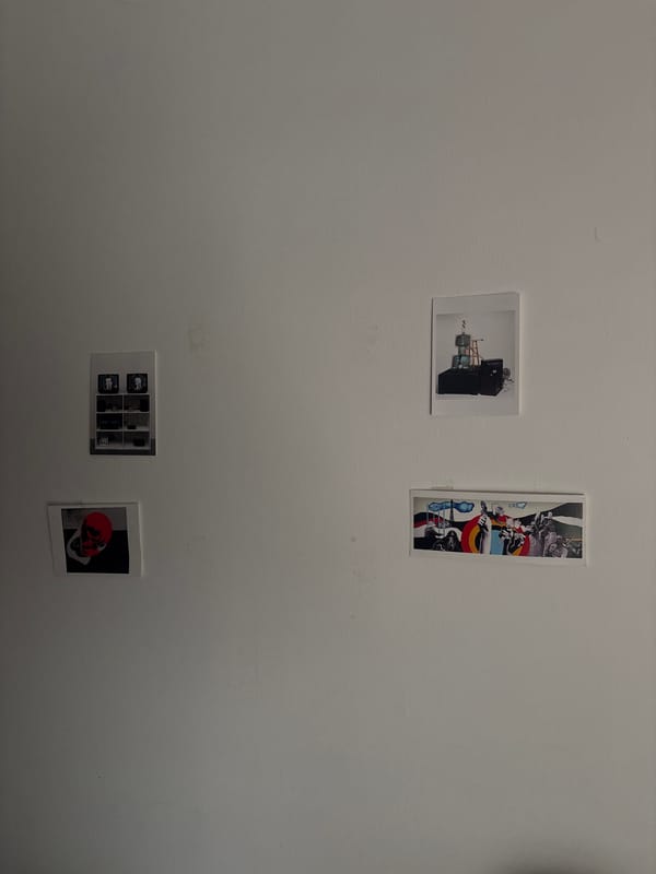 Art display and mirror selfie documented in Mexican town