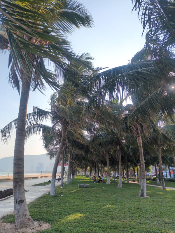 Morning scenes from Quy Nhon beachfront park and cultural monuments