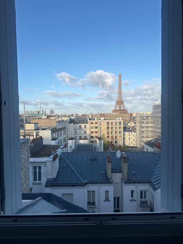 Woman in fur coat photographed near Eiffel Tower view