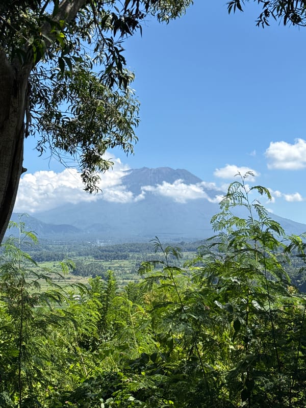 Mountain landscape photographed through vegetation in Bugbug, Indonesia