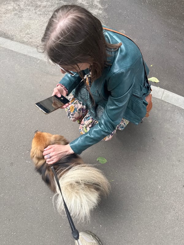 Dogs, statues, and escalators on a Moscow afternoon