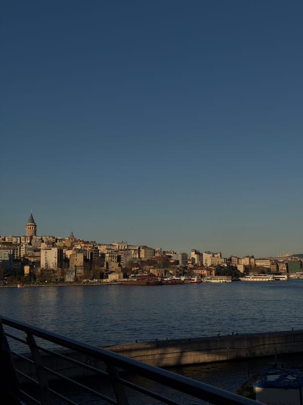 Tourist captures Istanbul cityscape and seagulls from Golden Horn Bridge