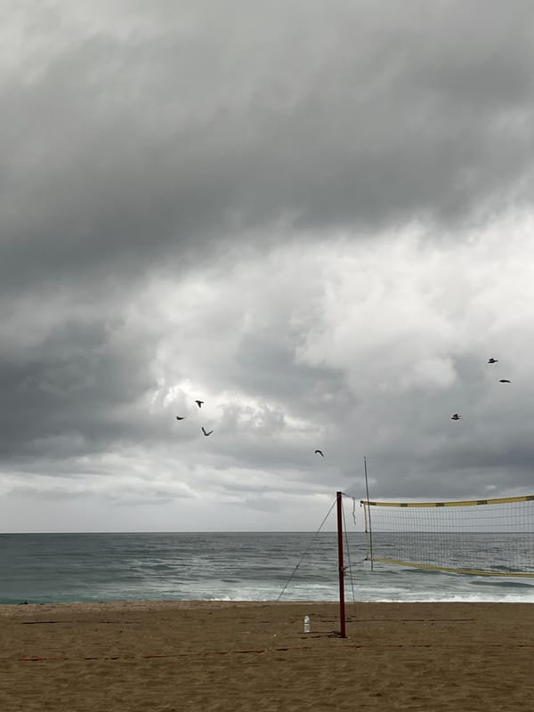 Stormy morning captured at Alanya beach with flying birds