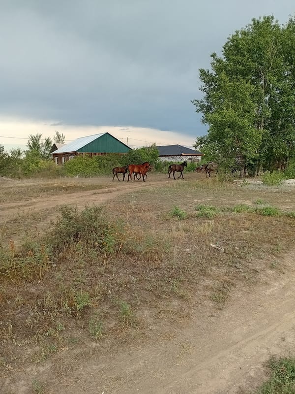 Semey, Kazakhstan