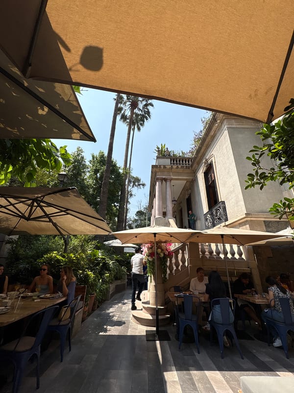 Afternoon dining experience documented at Mexico City's Madre Café