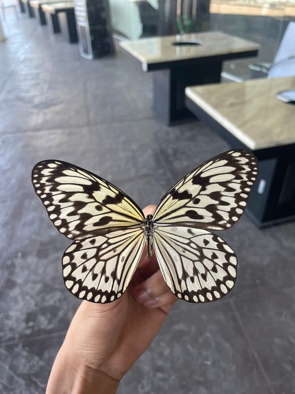 Mall crawl in Davao: butterflies, arcades, and city views