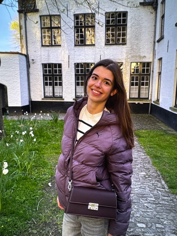 Afternoon stroll through historic Kaunas with local treats