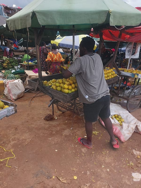 Morning marketplace bustles with vendors and shoppers in Dar es-Salaam