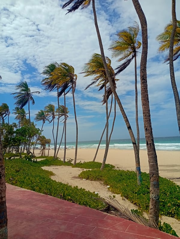 Beach scenes recorded at Playa El Agua, Venezuela