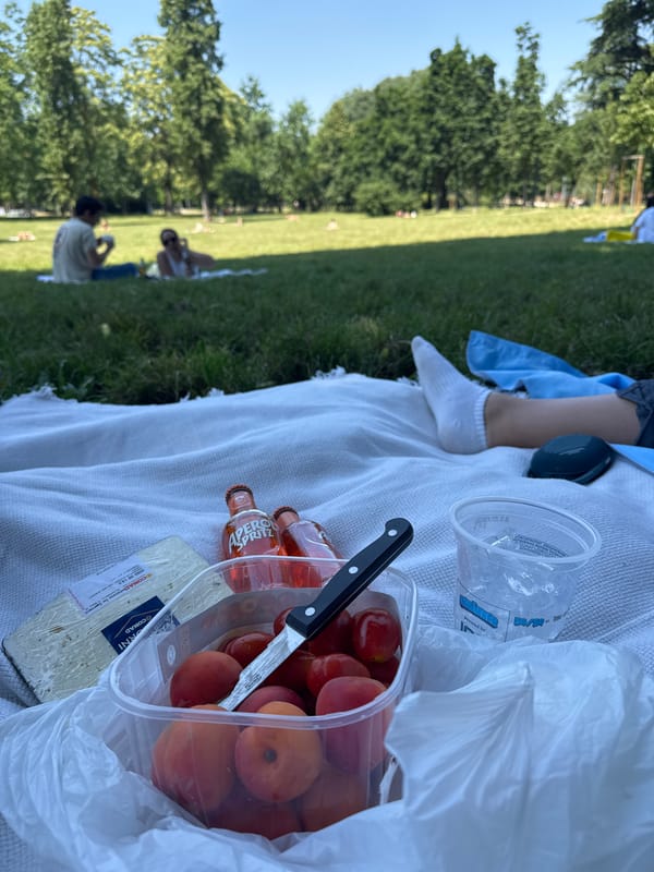 Couple enjoys afternoon picnic under tree in Milan park