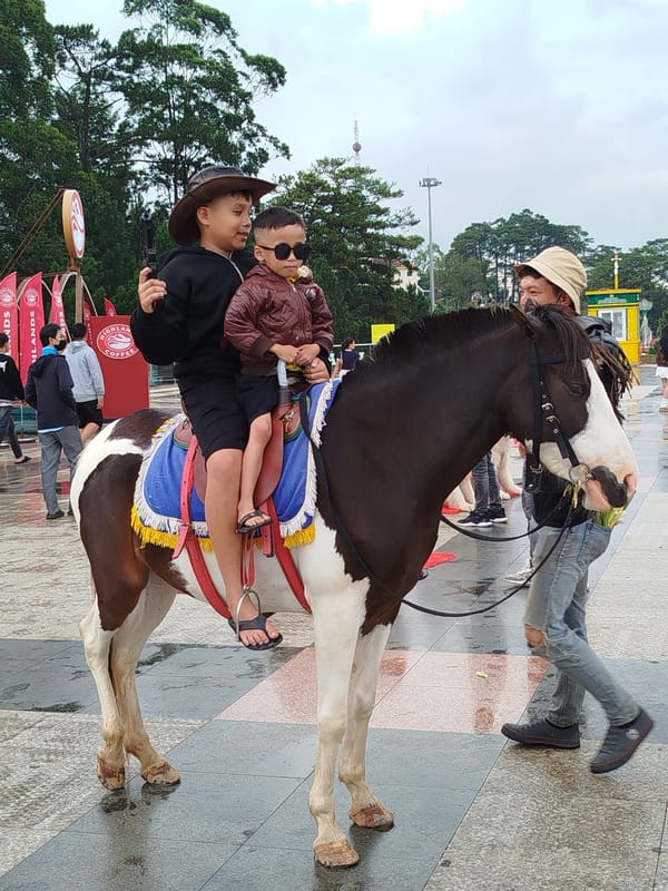 Children ride horse near Da Lat's Xuan Huong Lake