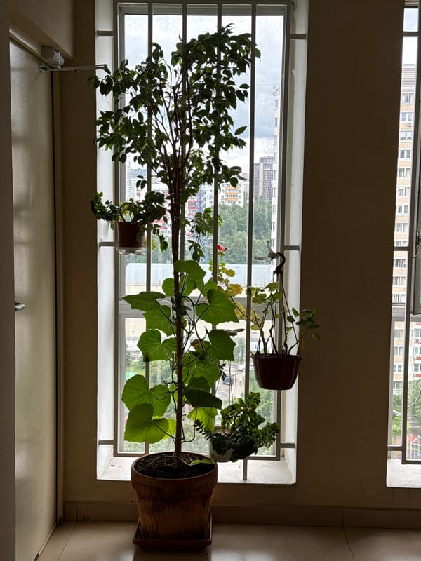 Indoor scenes captured: barred window view, warehouse storage facility