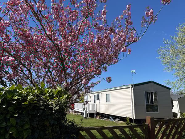 Spring blooms observed at Great Yarmouth mobile home site