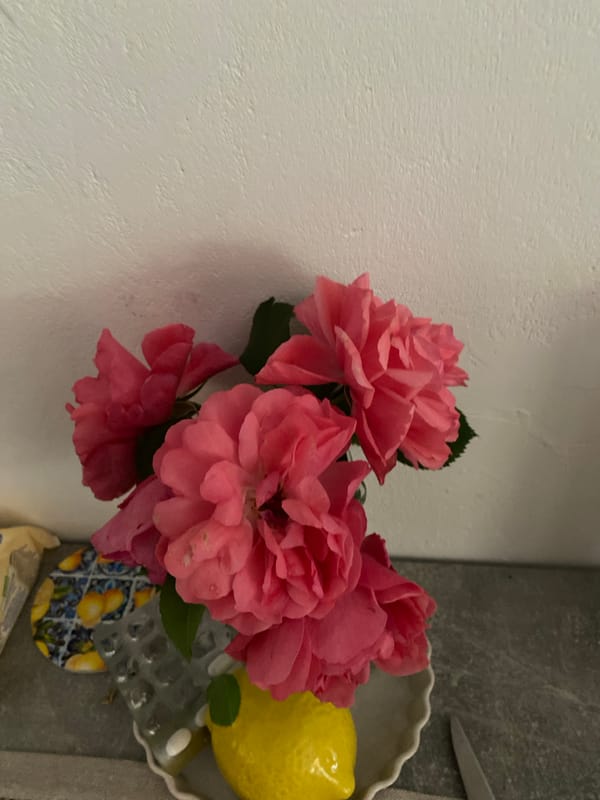 Flowers and a toy car, up close in Lütjenwestedt
