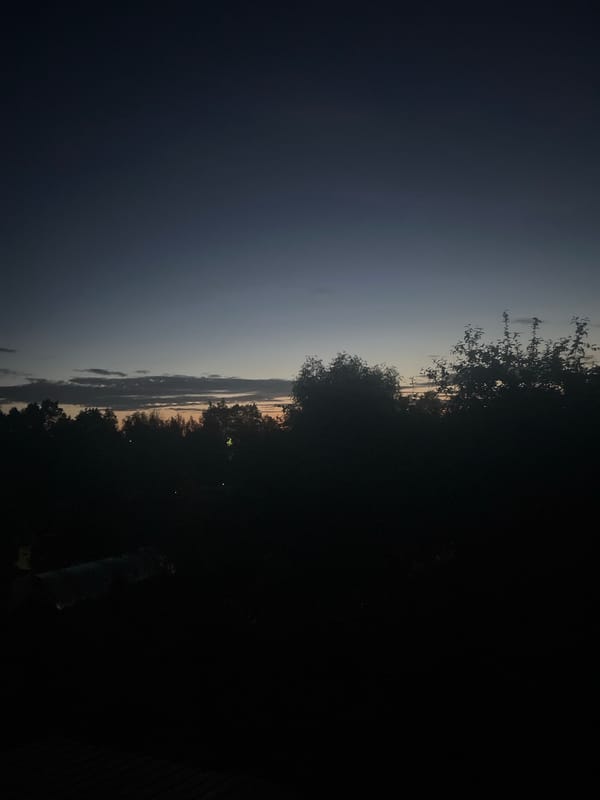 Evening Documentation Session Captures Landscapes and Nike Shirt in Chaikovsky