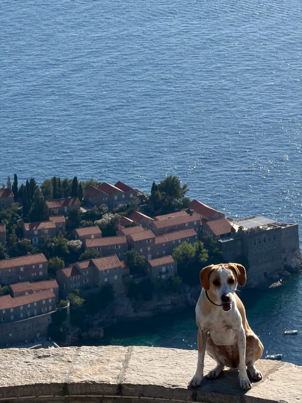 Lazy afternoon on the rocks at Sveti Stefan