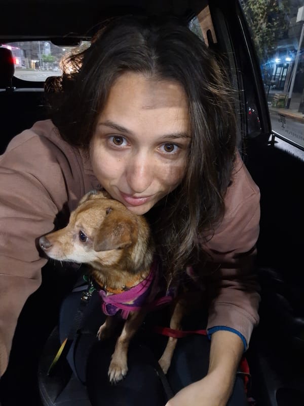 Couple travels with dressed dog through Argentine suburbs